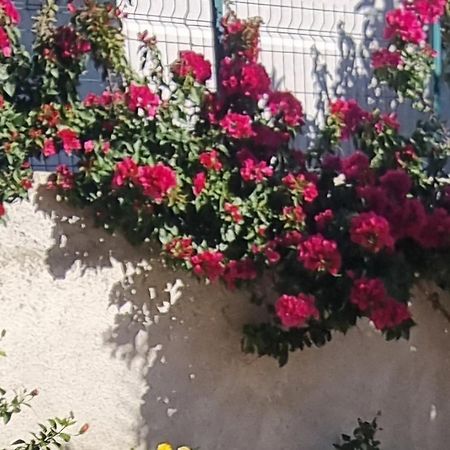 Vila Megi-Rent Room Vlore Ngoại thất bức ảnh