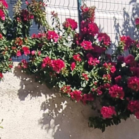 Vila Megi-Rent Room Vlore Ngoại thất bức ảnh