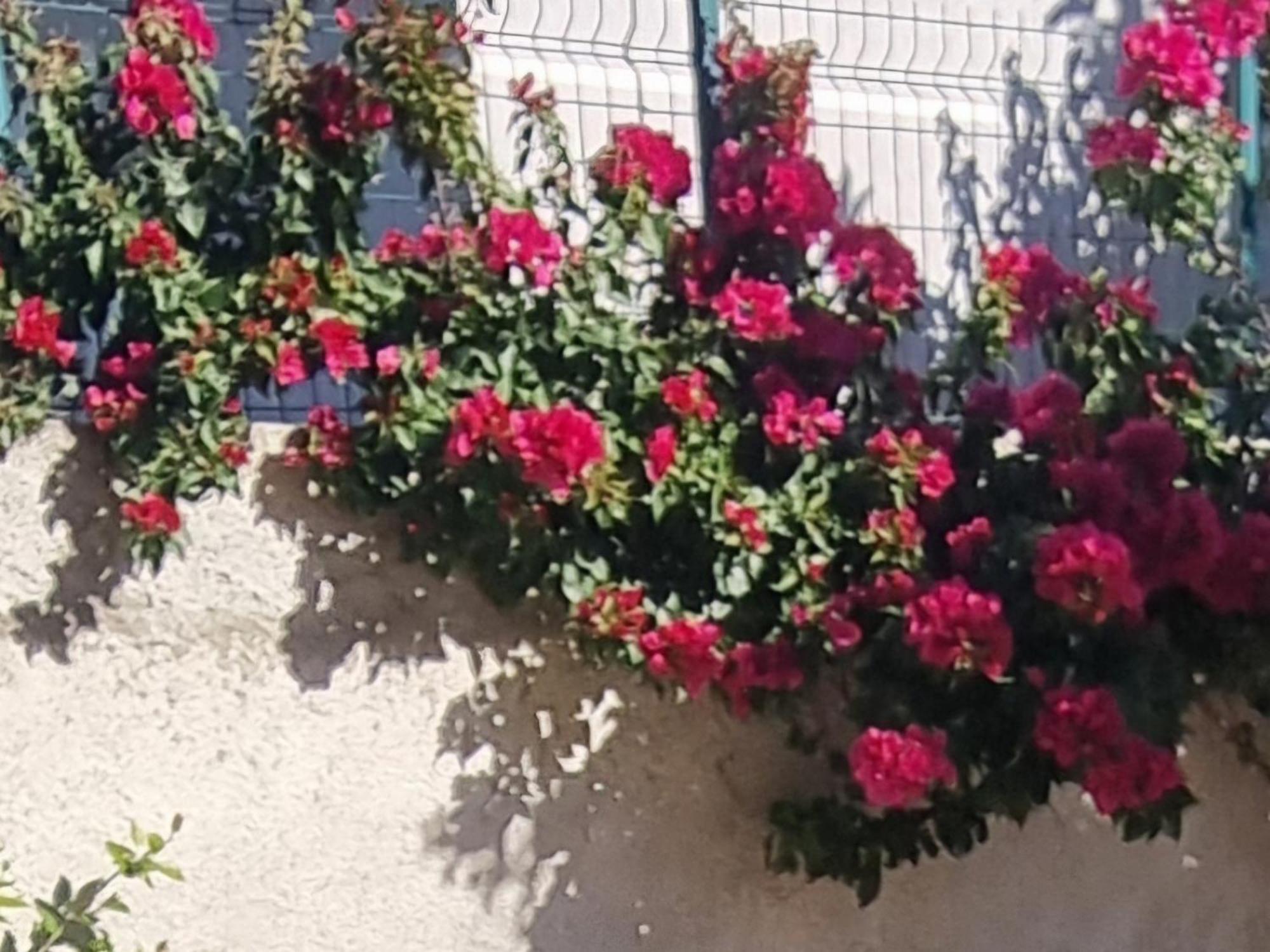Vila Megi-Rent Room Vlore Ngoại thất bức ảnh