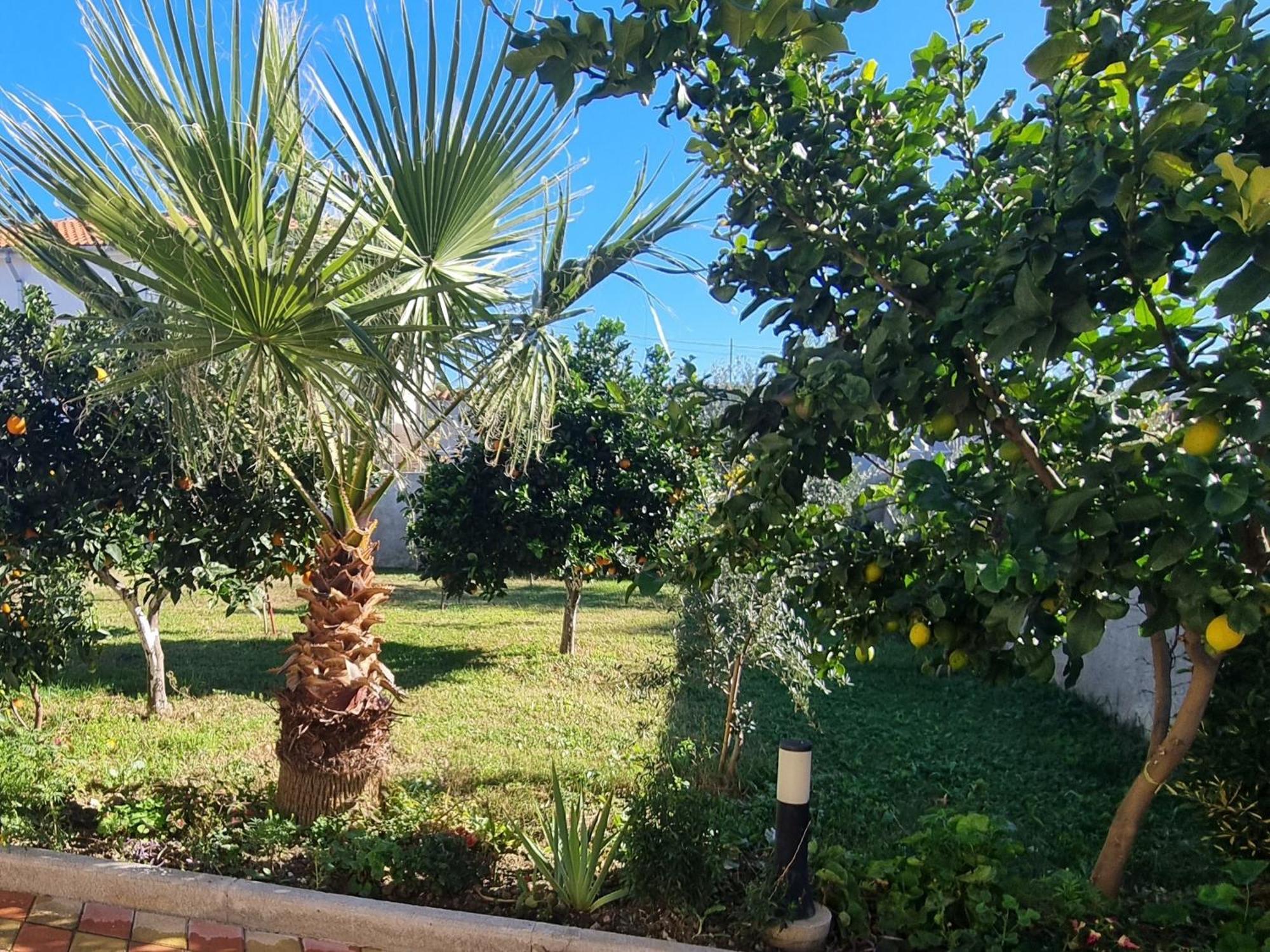 Vila Megi-Rent Room Vlore Ngoại thất bức ảnh